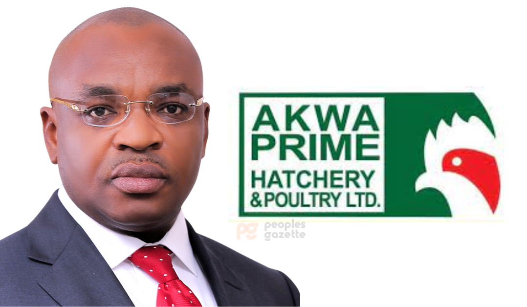 How Concession Wars, Greed Grounded once Promising Akwa Prime Hatchery
