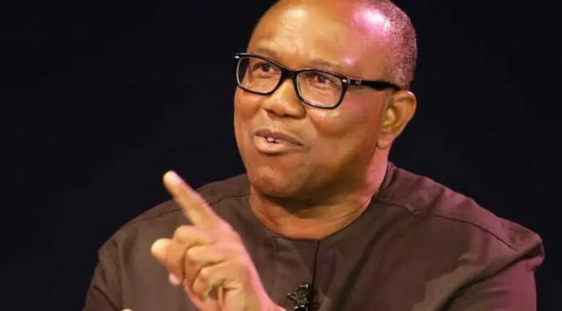 Support Groups Organise One-Million-Man March for Peter Obi