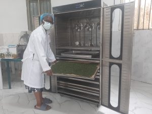 Alicia Etukudo, CEO of Fresh & Natural Farms, Eket working her vegetable hydration machine