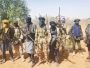 A show of force by Fulani Militia that has been killing people in Nigeria
