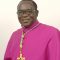 Bishop Matthew Kukah, Open Challenge to Kukah, Genocide Against Christians in Nigeria, Christian Persecution in Nigeria, Nigeria Insecurity Crisis, Religious Violence in Northern Nigeria, Middle Belt Killings, Southern Kaduna Attacks, Boko Haram and Christian Targets, Fulani Attacks on Christian Communities