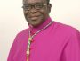 Bishop Matthew Kukah, Open Challenge to Kukah, Genocide Against Christians in Nigeria, Christian Persecution in Nigeria, Nigeria Insecurity Crisis, Religious Violence in Northern Nigeria, Middle Belt Killings, Southern Kaduna Attacks, Boko Haram and Christian Targets, Fulani Attacks on Christian Communities